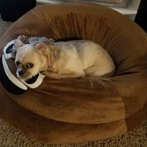 Meet your Posher, Cassie